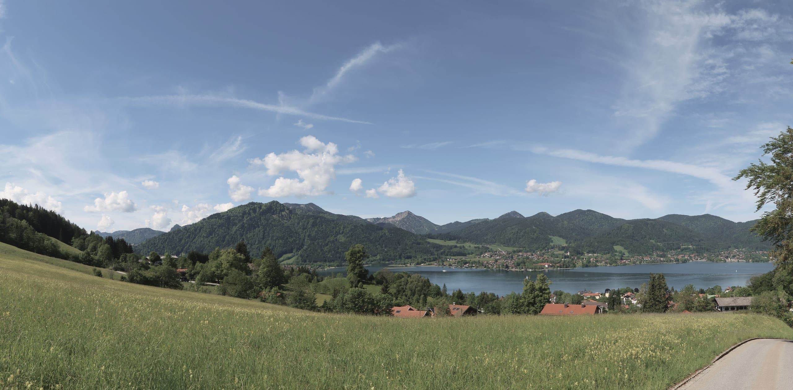 Blühende Wiese über dem Tegernsee mit Bergen im Hintergrund